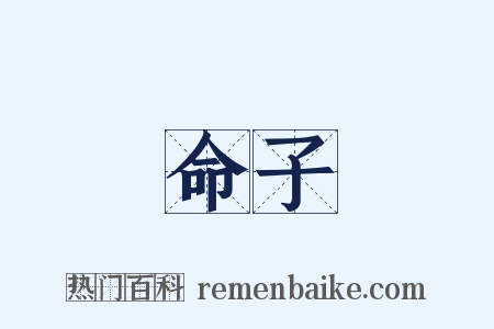 命子是什么意思的图片